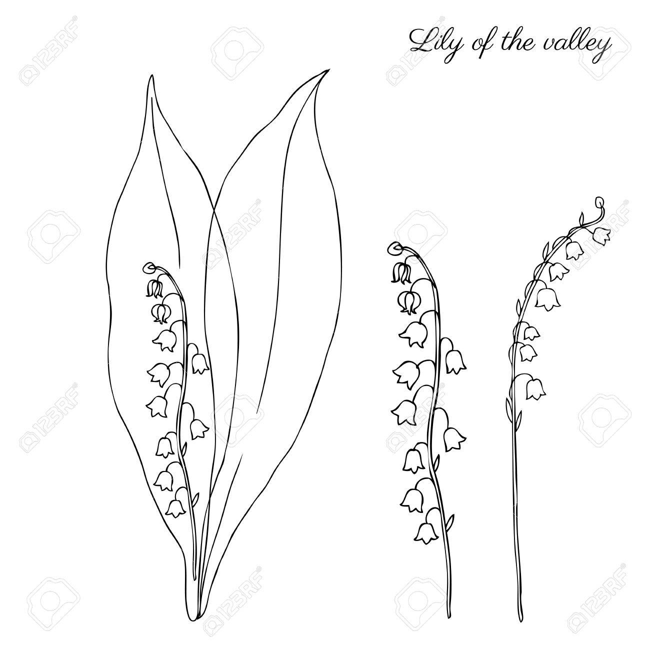Coloriage Muguet Fleur 1 Mai - Muguet 1er mai à imprimer